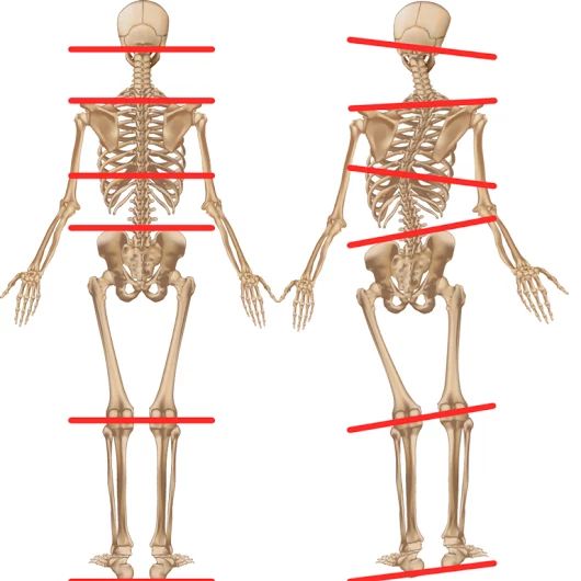Relajación craneocervical